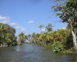 Preguicas River